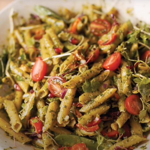 Rainbow Penne Picnic Salad